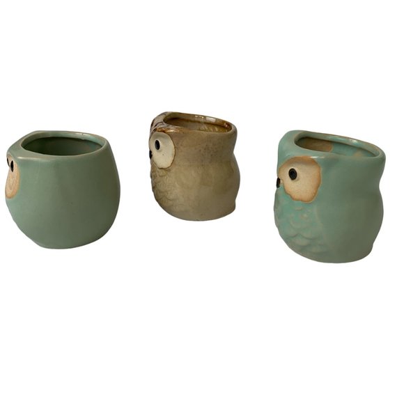 Pottery Owl Planter Mini Succulent Pots with Water Drain Hole- Set of 3 owls - Picture 3 of 12